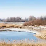Frühstückspension Waard