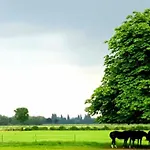 Waard Kekerdom