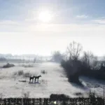 Frühstückspension Waard Kekerdom
