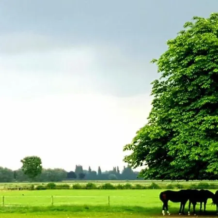 Waard Kekerdom