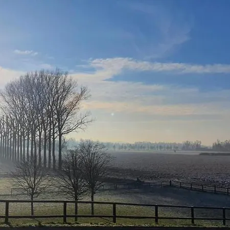 Waard
