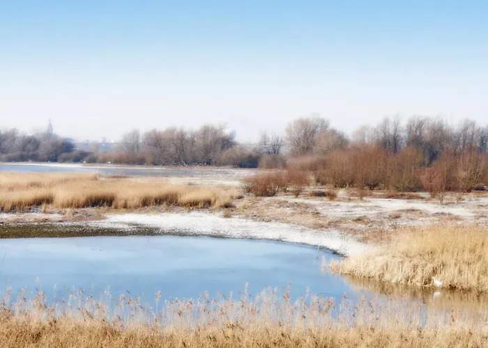 Bed & Breakfast Waard