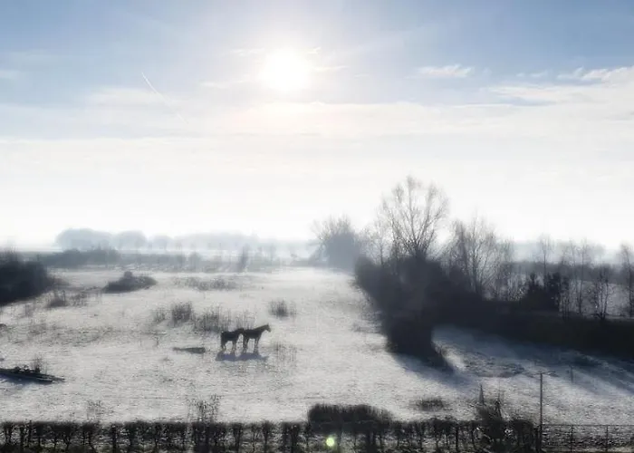 Bed & Breakfast Waard Kekerdom